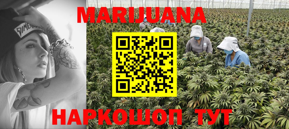 Каннабис ГИДРОПОН Кандалакша